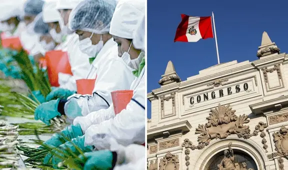 Congreso busca acelerar aprobación de Ley Chlimper 2.0 que beneficia a grandes agroexportadoras