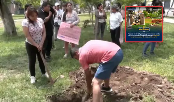 Fiscalía inicia diligencias preliminares por presunto envenenamiento de más de 20 perros en parque de Santa Anita