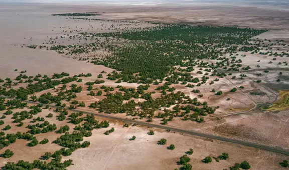 La Gran Muralla Verde de China completa los primeros 3.046 kilómetros en medio de un desierto