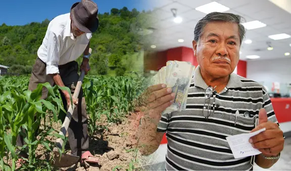 El Estado brinda desde S/400 hasta S/800 si eres agricultor: ¿en qué consiste el seguro y cómo activarlo?