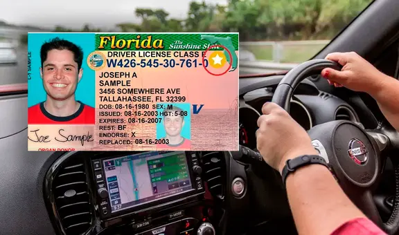 Buenas noticias para inmigrantes en EE. UU.: los requisitos para obtener tu licencia de conducir en Florida