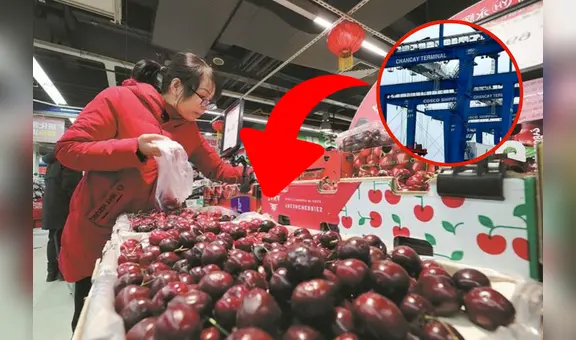 China recibe el primer cargamento de estos productos peruanos desde el Megapuerto de Chancay