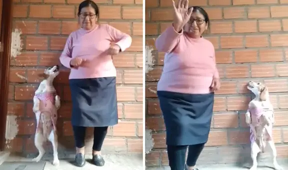 Perrita y su dueña adulta mayor enternecen al bailar trend viral de TikTok: “10 de 10”