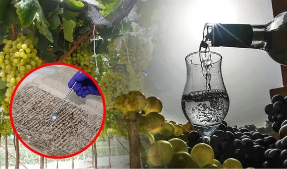 Estos son los documentos entregados a la Unesco que ratifican el origen del pisco peruano: el más antiguo es de 1587