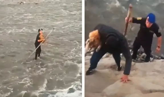 Policías logran el rescate de perrito atrapado en el río Rímac: ingresaría a la Unidad Canina