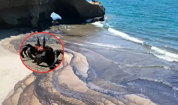 Alcalde de Lobitos exige sanciones para Petroperú por derrame de petróleo: "Quiere minimizar el problema"