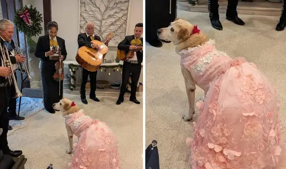 Familia celebró con 'quinceañero' a su perrita y fiesta generó opiniones divididas en redes: llevaron mariachis