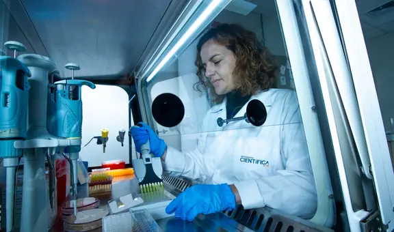 Las universidades del Perú con más publicaciones en revistas científicas durante 2024