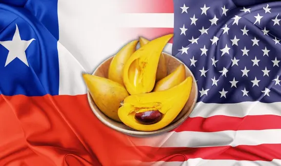 El superalimento peruano que triunfa en los mercados de Chile y EE. UU.: es clave para controlar el azúcar y el estrés