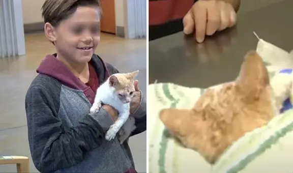 Niño conmueve al cambiar su patineta por salvar a un gatito maltratado: "No podía dejarlo sufrir"