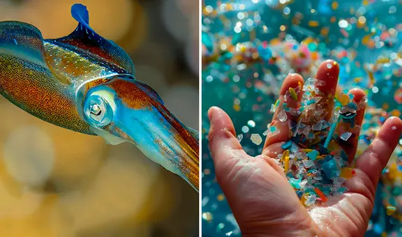 Investigadores en China crean filtro de hueso de calamar que elimina el 99,9% de microplásticos en aguas contaminadas