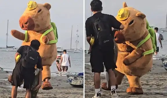 Captan a capibara ‘chocolatero’ en playa de Ancón y usuarios bromean: “Ronsoco bailarín”