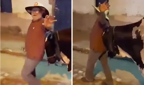 Animal guio a su dueño ebrio hasta su casa y es furor en redes: "Sales, pero te llevas al toro"