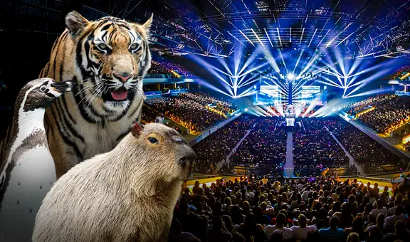 ‘Arena de Lima’ afectaría tranquilidad de animales del Parque de las Leyendas