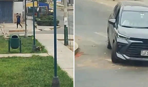 Santa Anita: conductores abandonan perrito en la calle al bajarlo de auto para que orine