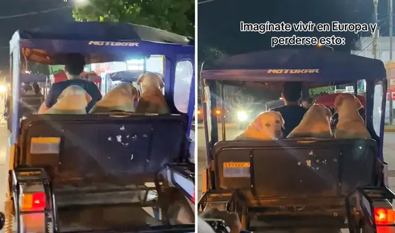 Peruano es viral al sacar a pasear a sus perritos en mototaxi: “Son como niños”