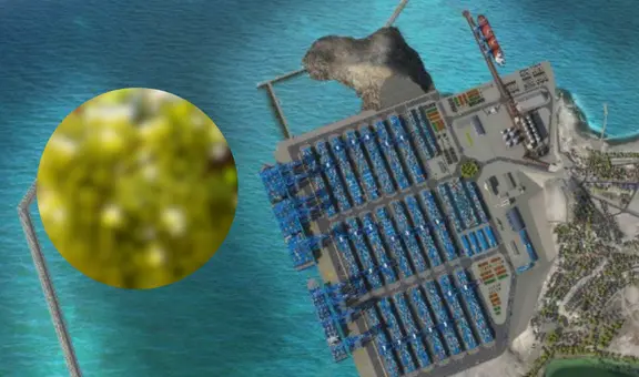 Uva de mesa peruana supera al arándano en China: exportaciones aumentarían con el Megapuerto de Chancay