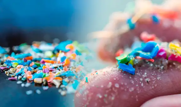 Microplásticos, los residuos que afectan a la humanidad y otras especies del mundo, según estudios científicos