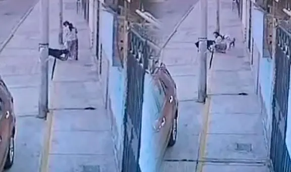 Rottweiler ataca a madre con su hija en plena vía pública en Arequipa: cuatro incidentes reportados en menos de un mes