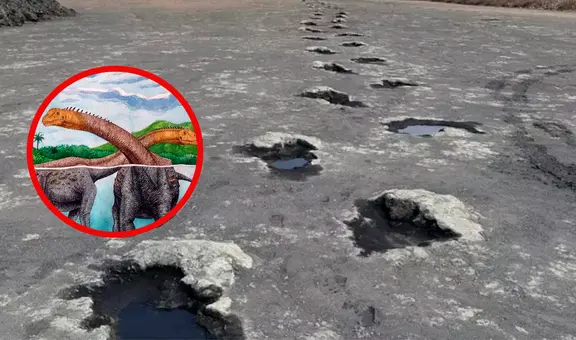 Investigadores hallan más de 200 huellas de dinosaurios en Reino Unido: datan de hace 166 millones de años