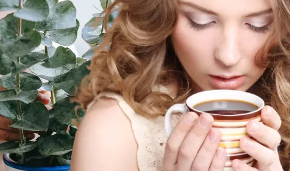 Si sufres de artrosis, esta es la poderosa hierba que te ayudará a disminuir el dolor: también es antiinflamatoria