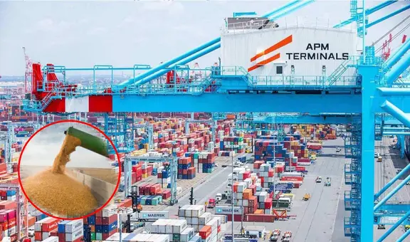 El puerto de Perú que tendrá un moderno terminal para descargar granos de Sudamérica: tiene más del 55% de avance y no es Chancay