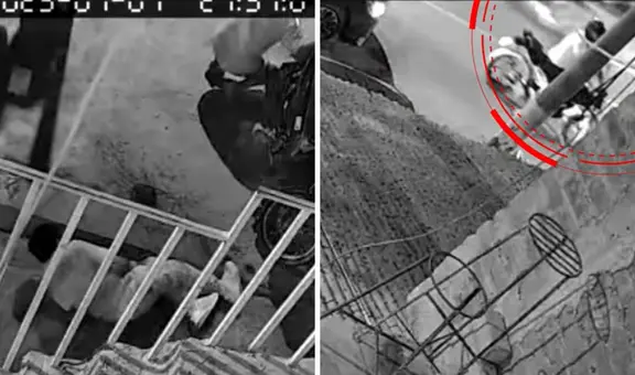 Piura: joven muere por una bala perdida mientras compraba la cena cerca de su vivienda