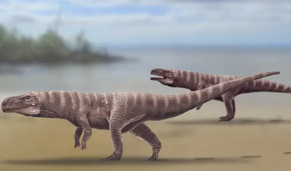Conoce al cocodrilo prehistórico de hace 100 millones de años hallado en Corea del Sur: corría erguido y cazaba dinosaurios