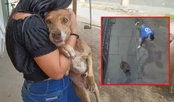 Sujeto agrede violentamente a perrito que esperaba a su dueña en su trabajo: cámaras captaron ataque en Piura
