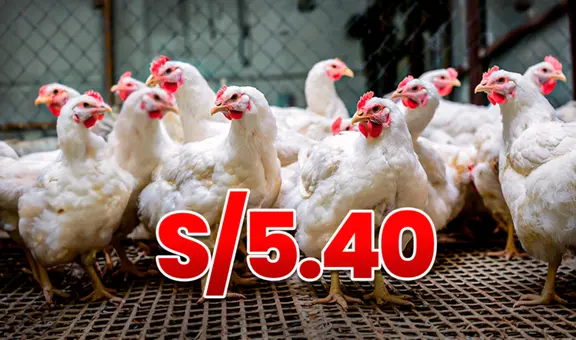 Baja el kilo del pollo a S/5.40 en Perú, pero Midagri advierte: "El precio mayorista es del ave viva, no beneficiada o en pie"