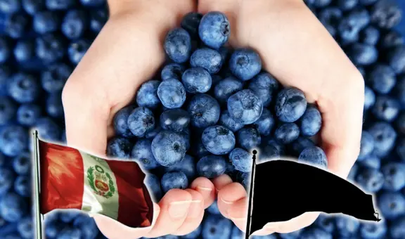 Este es el principal comprador mundial de arándanos peruanos en 2024: no es China y es una potencia global