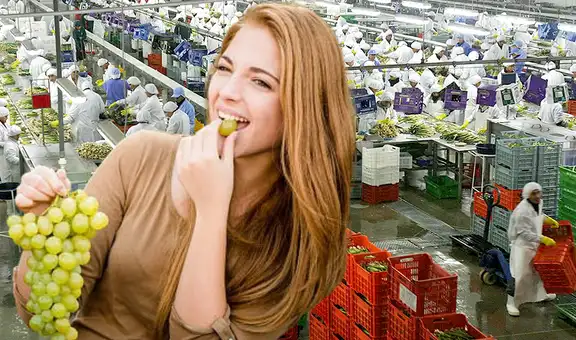 Las frutas que están revolucionando la exportación de pequeños productores peruanos en 2025: no son los arándanos ni las uvas