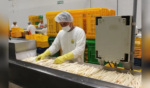 Empleo en exportaciones creció 16%: más de medio millón de puestos de trabajo