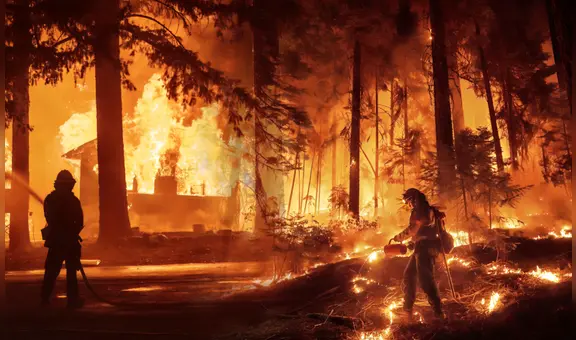 California: nueva ley prohíbe una actividad clave para los agricultores en medio de los incendios en Los Ángeles