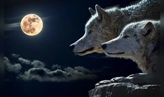 Luna de Lobo 2025: a qué hora y cómo ver la primera luna llena en el cielo desde Estados Unidos