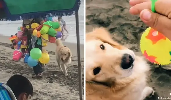 Perrito es viral al lograr que le compren una pelota en la playa: “Juguete para la bendición”
