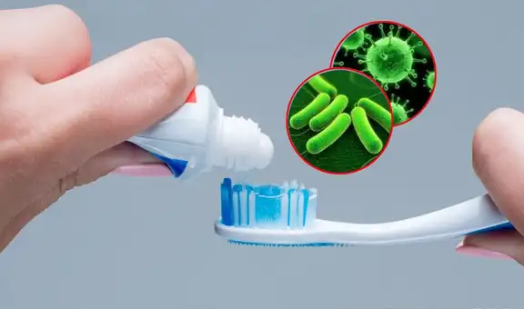 ¿El vinagre es el mejor desinfectante para tu cepillo de dientes? Esto dice un estudio de científicos peruanos