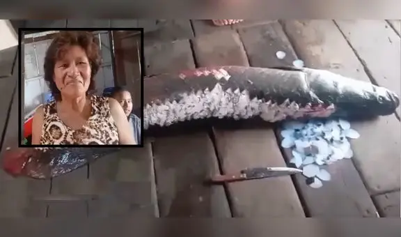 Iquitos: Familia encuentra enorme paiche de 2 metros y casi 80 kilos dentro de su vivienda