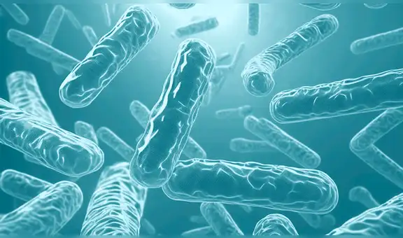 Microbioma intestinal y dietas vegana, vegetariana y omnívora, por Moisés Barrantes