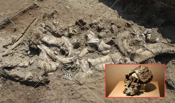 El asombroso hallazgo de los restos arqueológicos más antiguos que cambió la historia completamente: el yacimiento fue descubierto en África