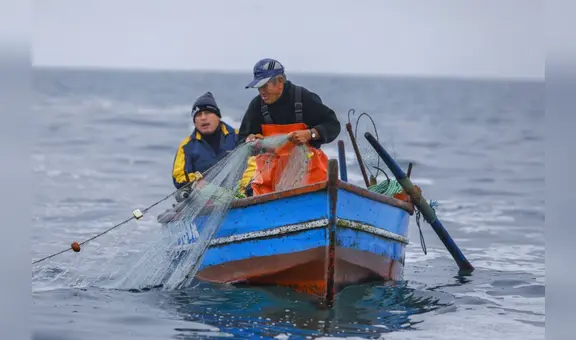 Exministros alertan que el gobierno intenta debilitar protección de las áreas naturales