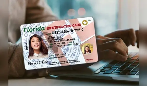 Licencia de conducir para inmigrantes en Florida: 3 documentos clave para obtener la Real ID en EE.UU. 2025