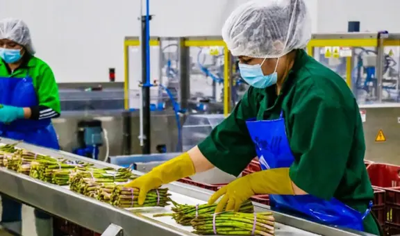 Proyecto Olmos diversifica la economía y lleva a Lambayeque al mercado global