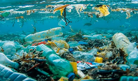 El país de Sudamérica que más residuos plásticos arroja al océano, según estudio: 1,3 millones de toneladas anuales