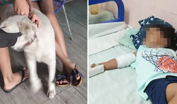 Niño casi pierde el brazo tras mordida de perro en Iquitos: dueños de can solo dieron S/50 para gastos médicos