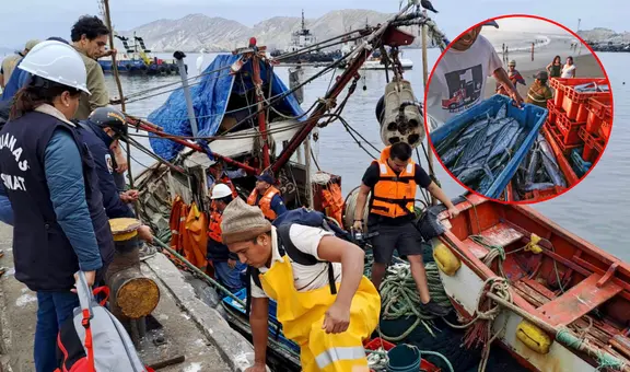 Pesca en Perú: productos en crisis, fiscalización insuficiente y creciente desempleo