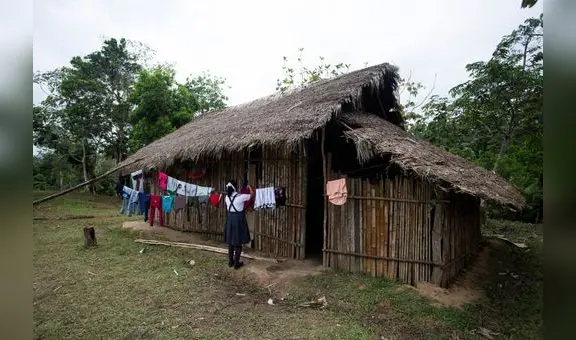 Amazonas: Juzgado deja en libertad a docente acusado de abusar de una escolar en Condorcanqui
