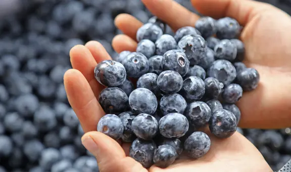 10 beneficios de los arándanos: ¿para qué sirve y cuáles son sus propiedades?