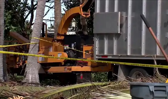 Trágico accidente en Florida: paisajista muere al ser arrastrado a una trituradora de madera frente a sus compañeros