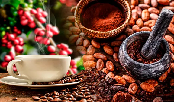 Estudio científico revela que las propiedades del cacao alivian el estrés y mejoran la memoria: "Efectiva para la salud mental"